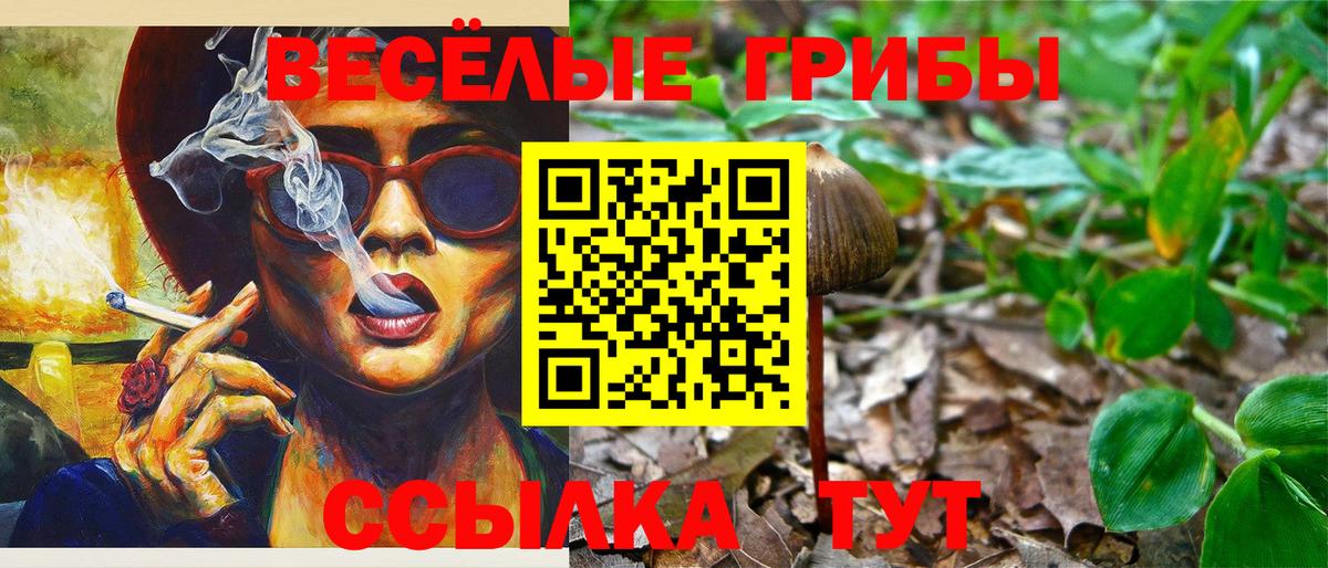 Воскресенск  дарнет шоп  Галлюциногенные грибы мицелий  Вход с VPN  Галлюциногенные грибы GOLDEN TEACHER 